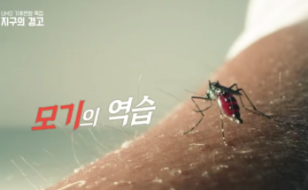 [방송] KBS 환경스페셜 지구의 경고-모기의 역습